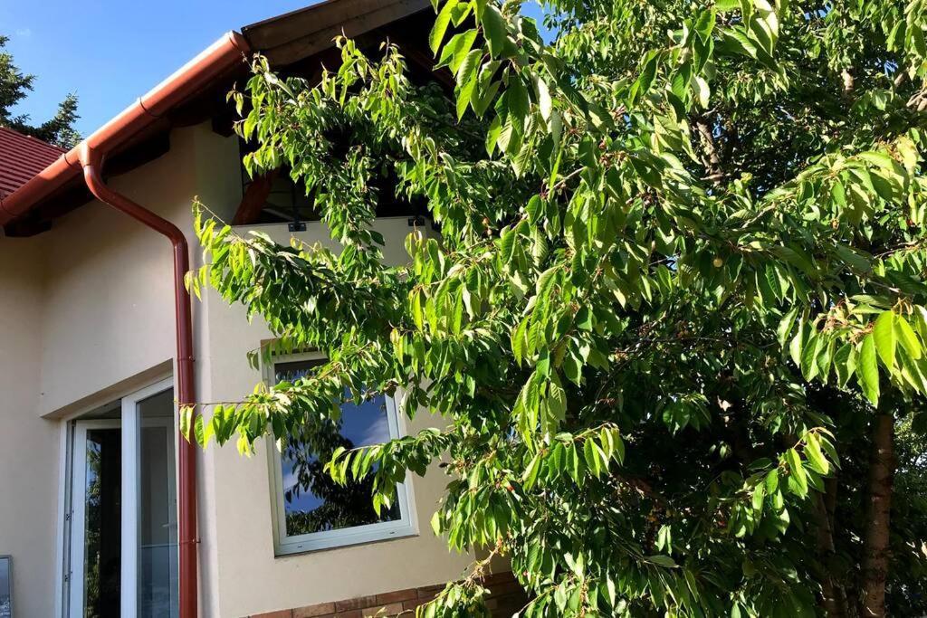 'New' Sunkissed Villa On The Old Hill Balatonalmádi Exterior foto