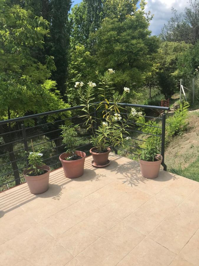 'New' Sunkissed Villa On The Old Hill Balatonalmádi Exterior foto